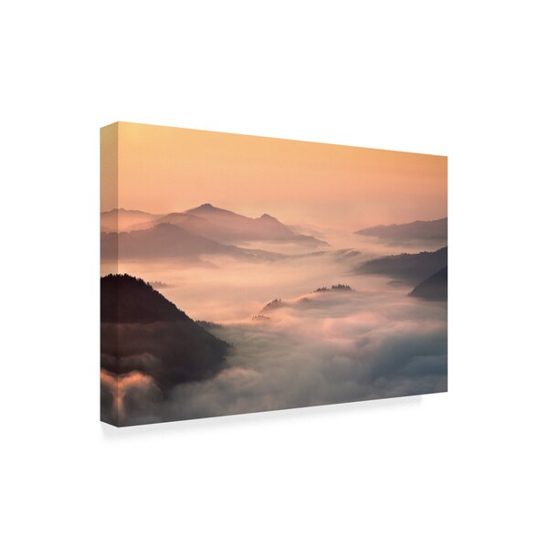 Fproject Przemyslaw 'Foggy Morning In The Mountains' Canvas Art,30x47